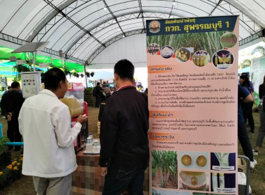 โครงการศึกษาดูงาน ... พารามิเตอร์รูปภาพ 1